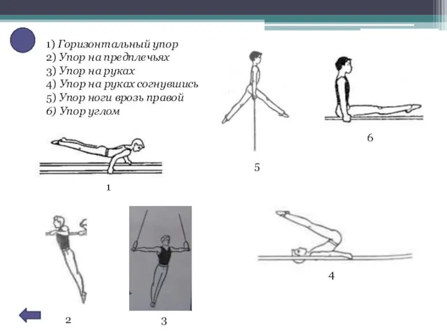 1) Горизонтальный упор 2) Упор на предплечьях 3) Упор на