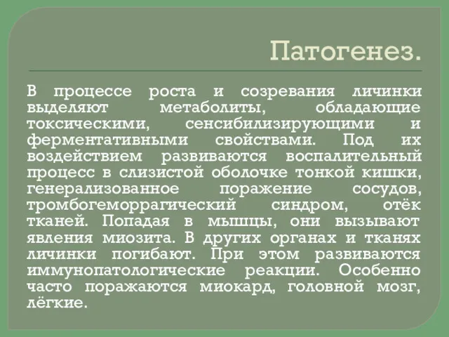 Патогенез. В процессе роста и созревания личинки выделяют метаболиты, обладающие