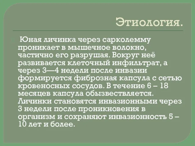 Этиология. Юная личинка через сарколемму проникает в мышечное волокно, частично