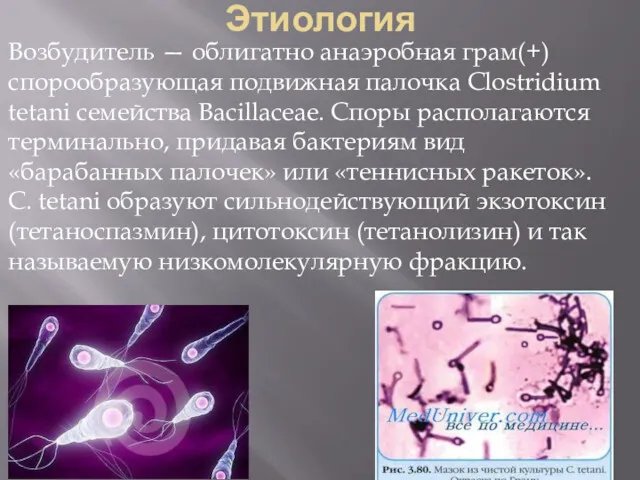 Этиология Возбудитель — облигатно анаэробная грам(+) спорообразующая подвижная палочка Clostridium