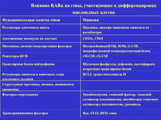 Влияние RARα на гены, участвующие в дифференцировке миелоидных клеток Функциональные