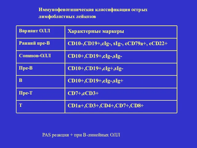 Вариант ОЛЛ Характерные маркеры Ранний пре-В CD10-,CD19+,cIg-, sIg-, cCD79a+, cCD22+