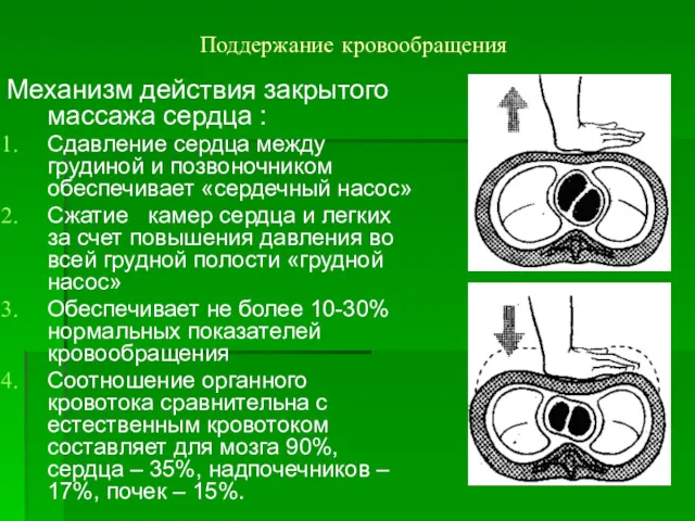 Поддержание кровообращения Механизм действия закрытого массажа сердца : Сдавление сердца