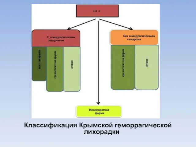 Классификация Крымской геморрагической лихорадки