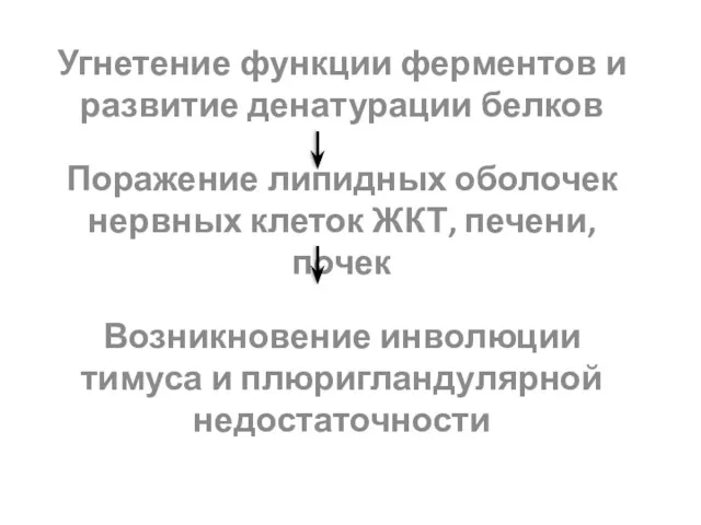 Угнетение функции ферментов и развитие денатурации белков Поражение липидных оболочек