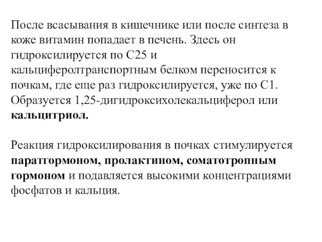 После всасывания в кишечнике или после синтеза в коже витамин