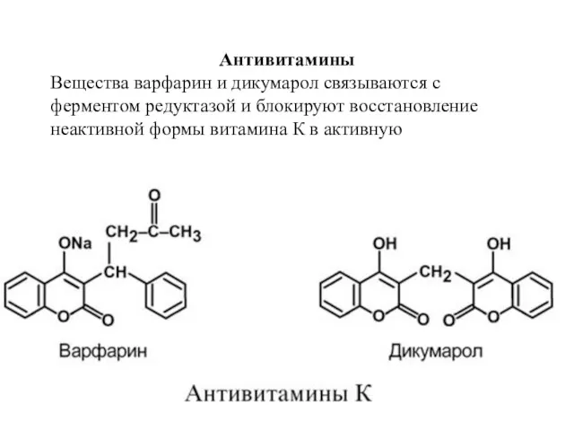 Антивитамины Вещества варфарин и дикумарол связываются с ферментом редуктазой и