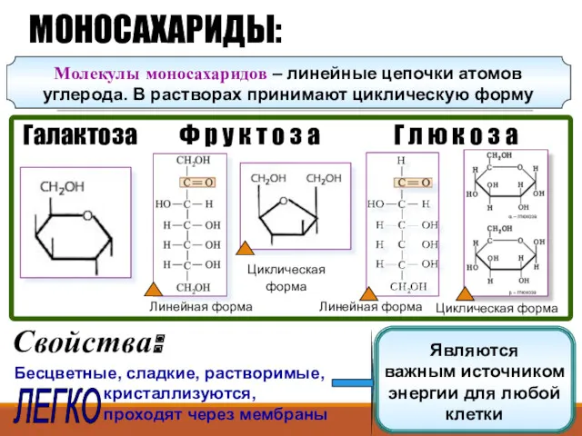 Линейная форма Ф р у к т о з а