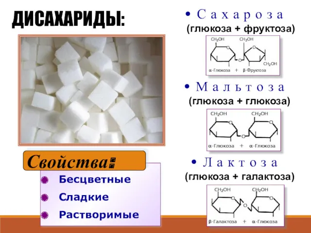 Бесцветные Сладкие Растворимые ДИСАХАРИДЫ: С а х а р о