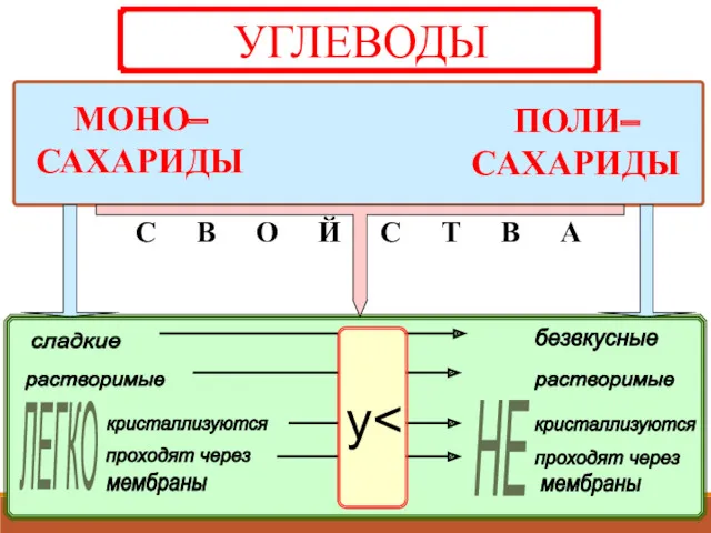 НЕ у С В О Й С Т В А