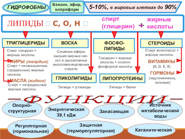 ЛИПИДЫ ? С, О, Н ? спирт (глицерин) жирные кислоты