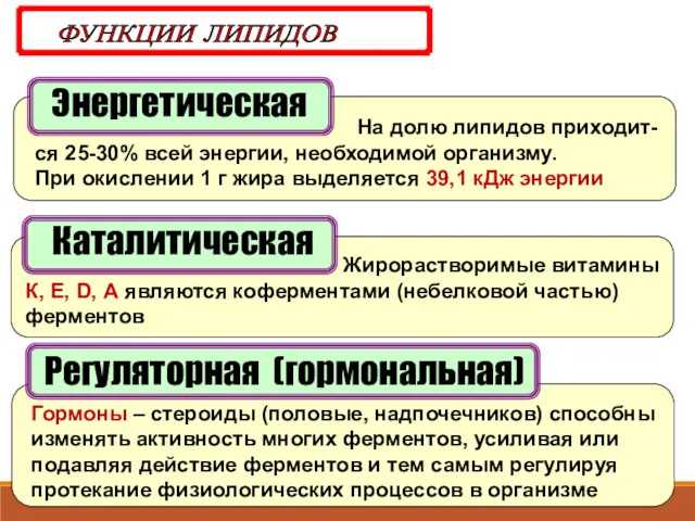 Энергетическая ФУНКЦИИ ЛИПИДОВ На долю липидов приходит-ся 25-30% всей энергии,