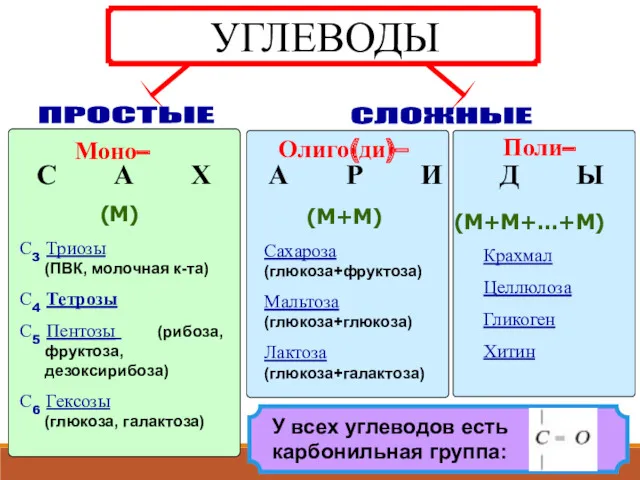 Моно– Олиго(ди)– Поли– С А Х А Р И Д