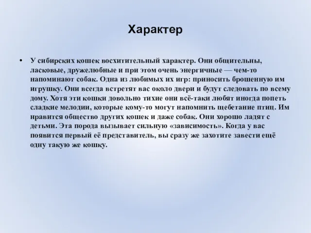 Характер У сибирских кошек восхитительный характер. Они общительны, ласковые, дружелюбные