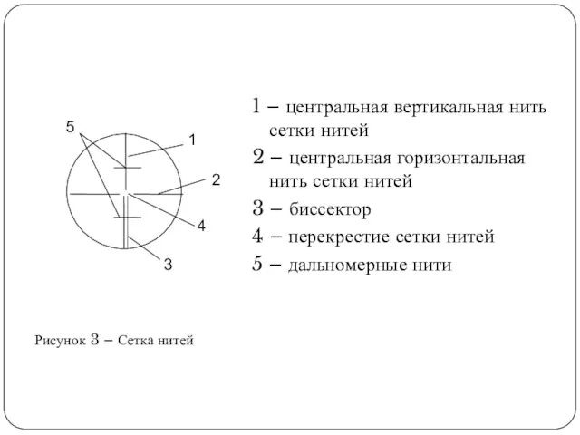 1 – центральная вертикальная нить сетки нитей 2 – центральная