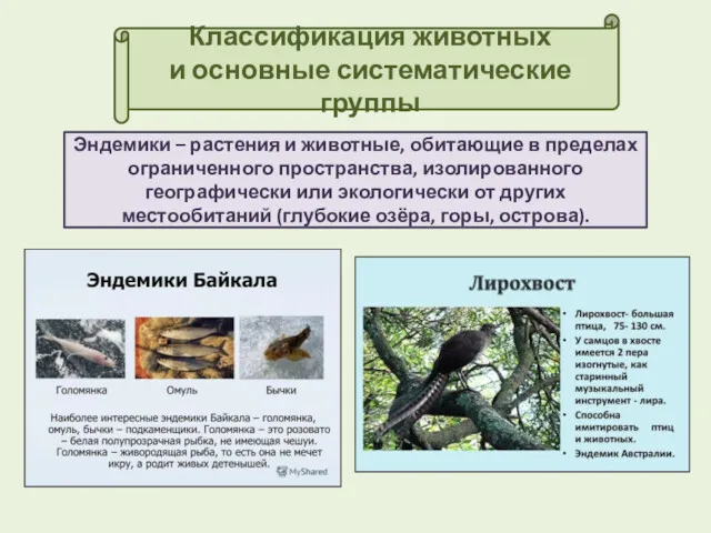 Классификация животных и основные систематические группы Эндемики – растения и