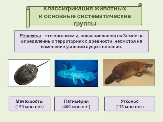 Классификация животных и основные систематические группы Реликты – это организмы,