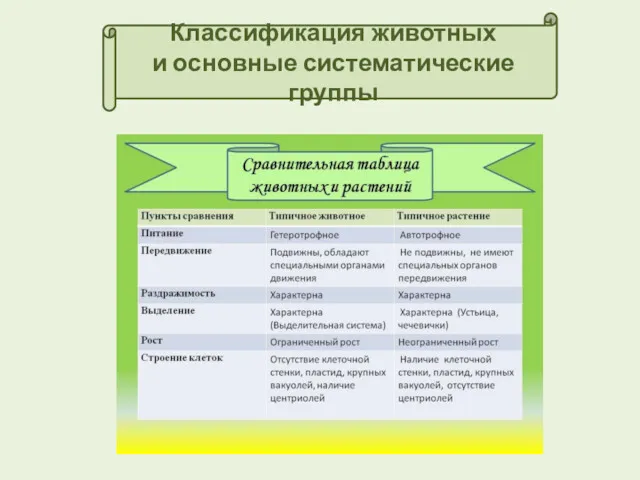 Классификация животных и основные систематические группы