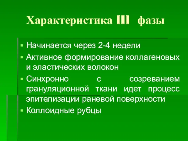 Характеристика III фазы Начинается через 2-4 недели Активное формирование коллагеновых и эластических волокон