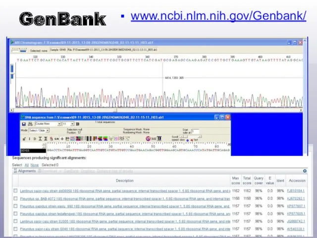 GenBank www.ncbi.nlm.nih.gov/Genbank/