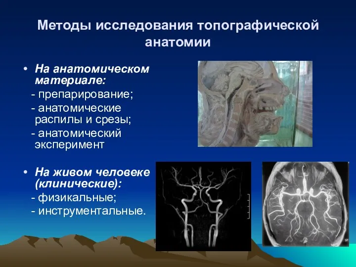 Методы исследования топографической анатомии На анатомическом материале: - препарирование; -