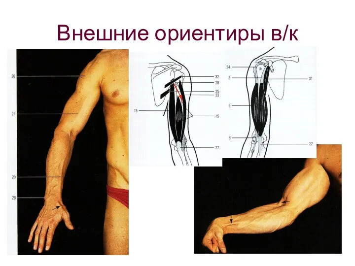 Внешние ориентиры в/к