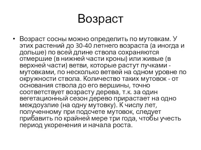 Возраст Возраст сосны можно определить по мутовкам. У этих растений