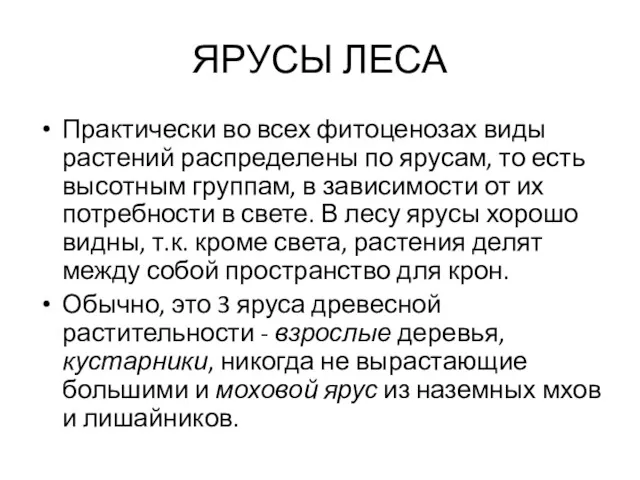 ЯРУСЫ ЛЕСА Практически во всех фитоценозах виды растений распределены по