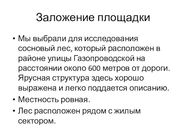 Заложение площадки Мы выбрали для исследования сосновый лес, который расположен