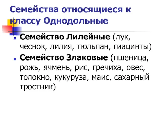 Семейства относящиеся к классу Однодольные Семейство Лилейные (лук, чеснок, лилия,