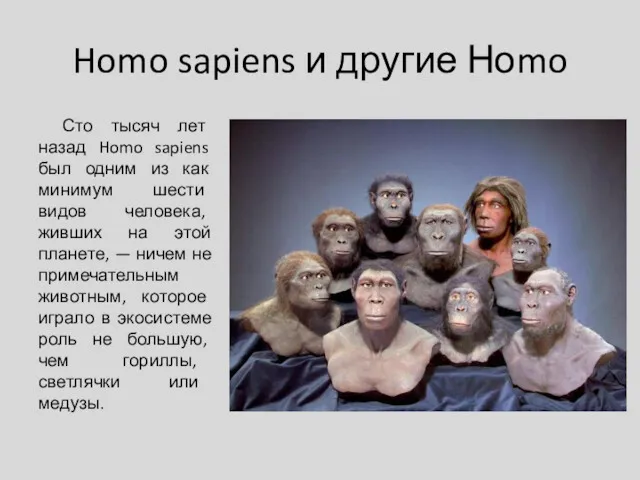 Homo sapiens и другие Ноmo Сто тысяч лет назад Homo