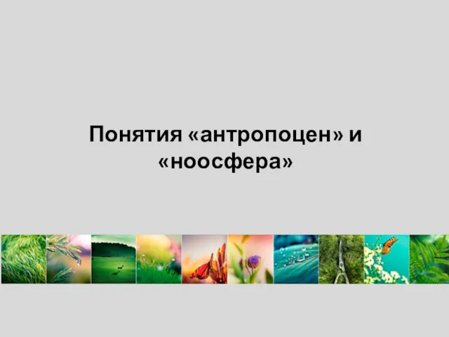 Понятия «антропоцен» и «ноосфера»