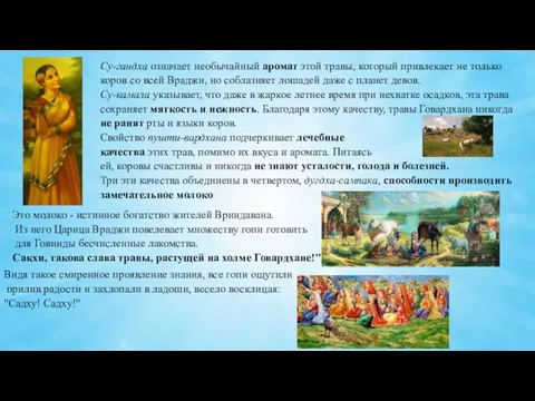 Су-гандха означает необычайный аромат этой травы, который привлекает не только