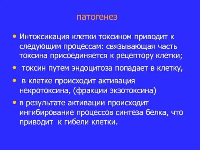 патогенез Интоксикация клетки токсином приводит к следующим процессам: связывающая часть