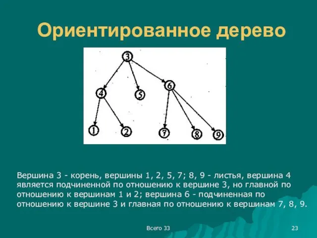 Всего 33 Ориентированное дерево Вершина 3 - корень, вершины 1,