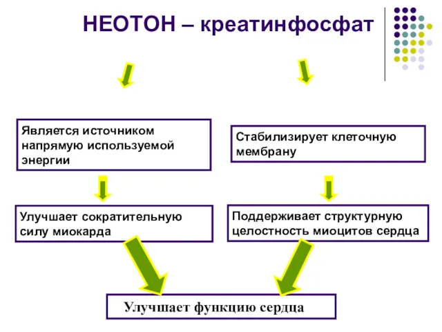 НЕОТОН – креатинфосфат Является источником напрямую используемой энергии Стабилизирует клеточную