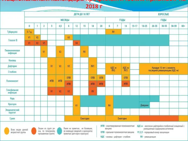 Национальный календарь профилактических прививок на 2018 г
