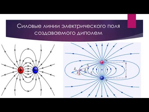 Силовые линии электрического поля создаваемого диполем