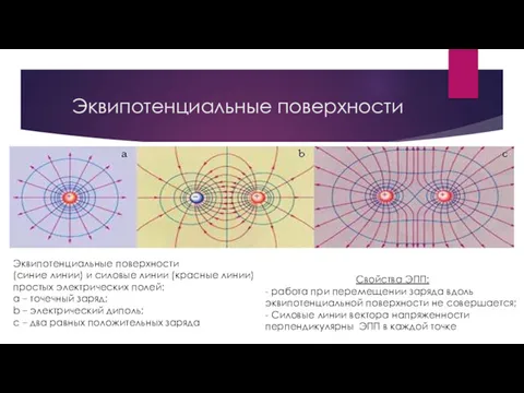 Эквипотенциальные поверхности Эквипотенциальные поверхности (синие линии) и силовые линии (красные