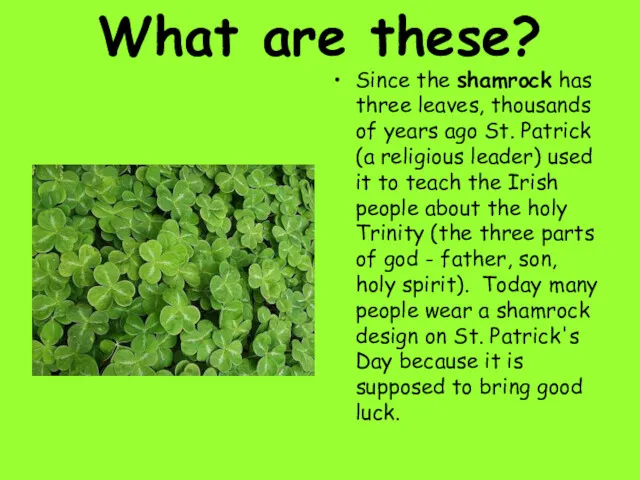 What are these? Since the shamrock has three leaves, thousands