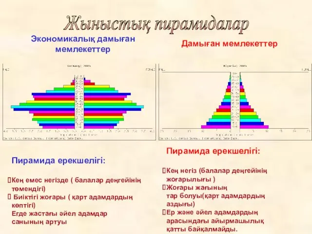 Экономикалық дамыған мемлекеттер Дамыған мемлекеттер Пирамида ерекшелігі: Кең емес негізде