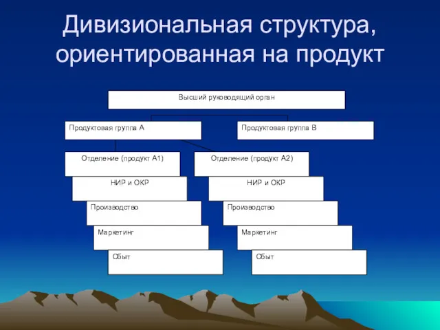 Дивизиональная структура, ориентированная на продукт