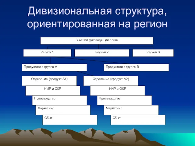 Дивизиональная структура, ориентированная на регион