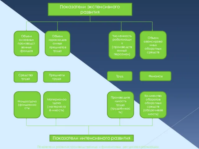 Показатели развития производственных и финансовых ресурсов организации Показатели экстенсивного развития
