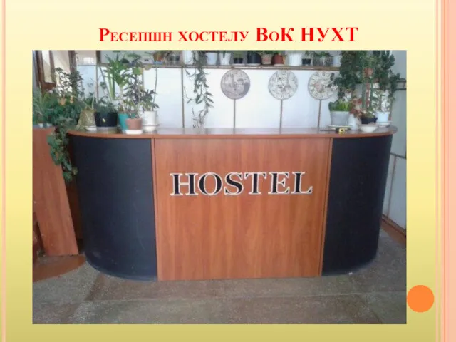 Ресепшн хостелу ВоК НУХТ