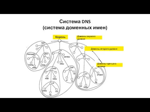 Система DNS (система доменных имен) Домены первого уровня Домены второго уровня Корень Домены третьего уровня kale