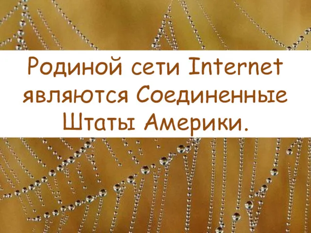 Родиной сети Internet являются Соединенные Штаты Америки.