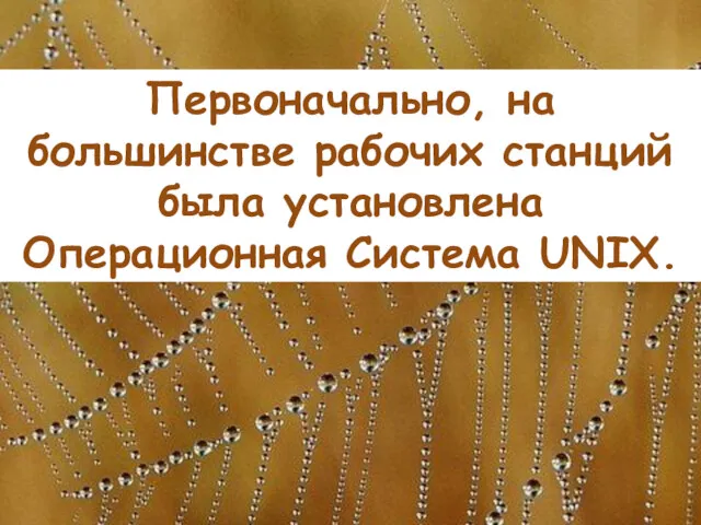 Первоначально, на большинстве рабочих станций была установлена Операционная Система UNIX.