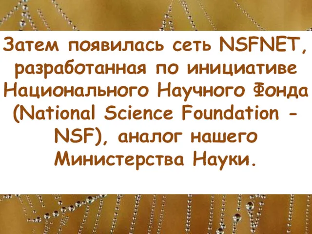 Затем появилась сеть NSFNET, разработанная по инициативе Национального Научного Фонда