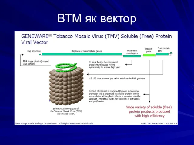 ВТМ як вектор